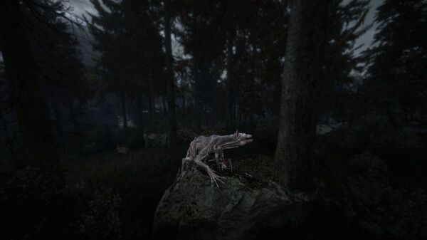 Beautiful Light İnceleme ve Puan